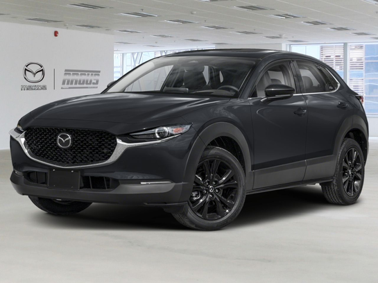 2025 Mazda CX-30 2025 Jet Black Mica