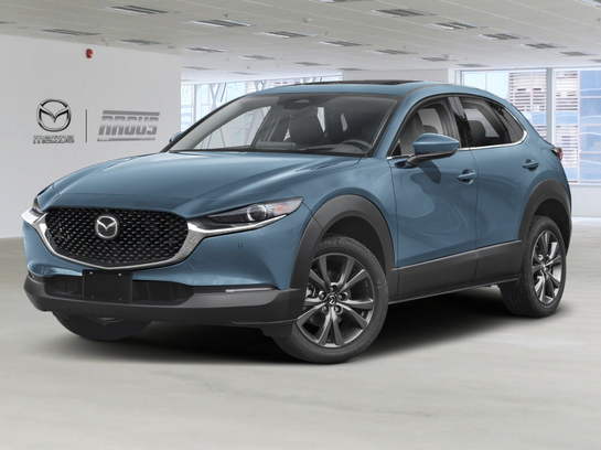 Mazda CX-30 2025 2025 Gris polymétal métallisé